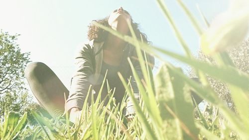 Close-up of plants growing on field