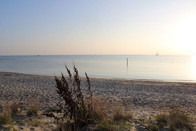 Scenic view of sea against clear sky