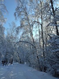 Bare trees on snow covered landscape