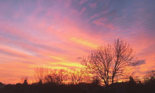 Silhouette bare trees on field against romantic sky at sunset