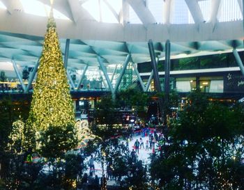 Illuminated christmas tree