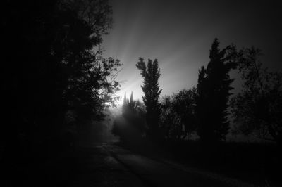 Silhouette trees by road in forest against sky