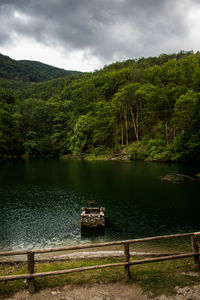 Scenic view of lake in forest