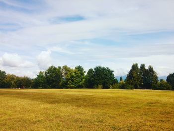 Trees on field against cloudy sky