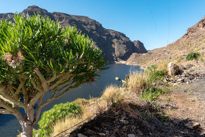 Scenic view of river by mountains against clear sky