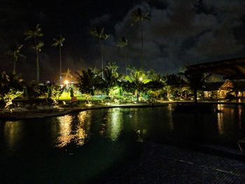 Reflection of trees in water at night