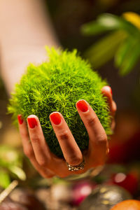 Close-up of hand holding leaves