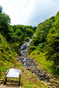 Scenic view of waterfall in forest against sky