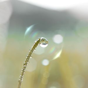 drop