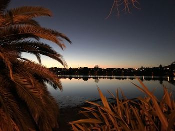 Scenic view of palm trees against clear sky