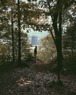 Rear view of man walking on tree