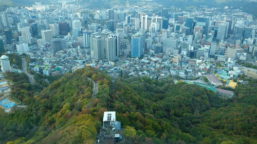 High angle view of cityscape and trees in city