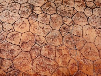 Full frame shot of cracked land