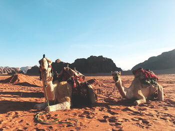 Panoramic view of rocks on landscape against clear sky