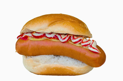 Close-up of hot dog against white background