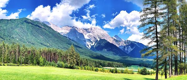 Panoramic alps view