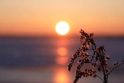 Scenic view of sea against romantic sky at sunset