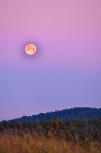 Scenic view of sunset