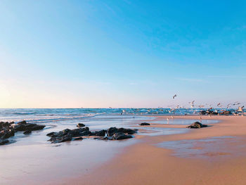 Scenic view of beach against sky