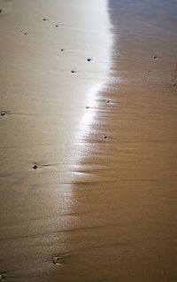High angle view of wet beach