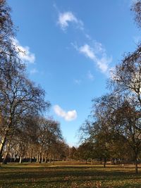 Low angle view of bare trees against sky