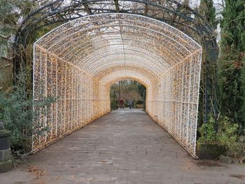 Footpath in park