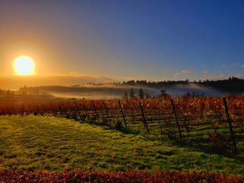 Foggy willamette vally sunrise