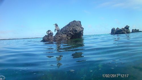 Scenic view of sea against clear blue sky