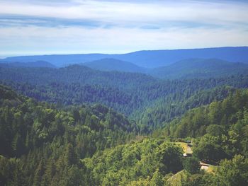 Rolling hills of los gatos