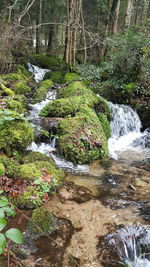 Close-up of water flowing in park