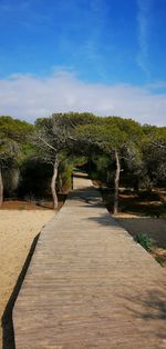 Footpath amidst trees against sky