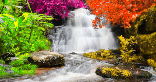 Scenic view of waterfall in forest