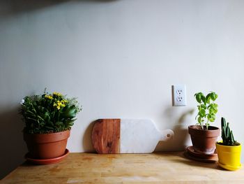 Potted plant on table at home