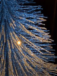 Close-up of illuminated frozen water at night