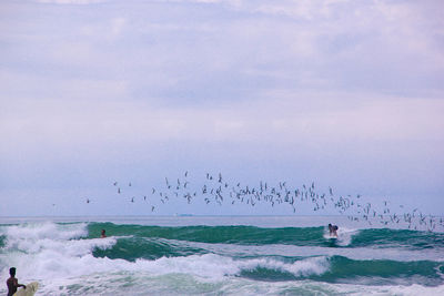 Man surfing with birds flying over sea against sky