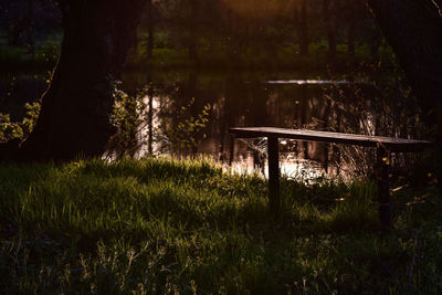 Scenic view of lake in forest