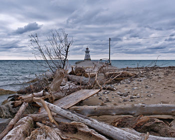 Lighthouse obscured by driftwood and fallen trees