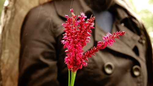 Close-up of woman holding red flowering plant