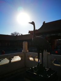 Birds and buildings against sky