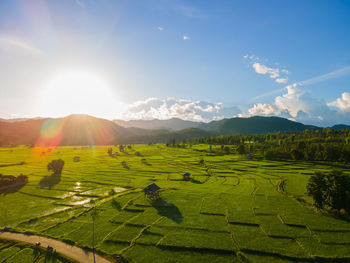 Scenic view of farm against sky