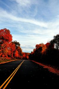 Empty road with trees in background