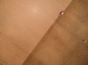 Directly above shot of tractor on field