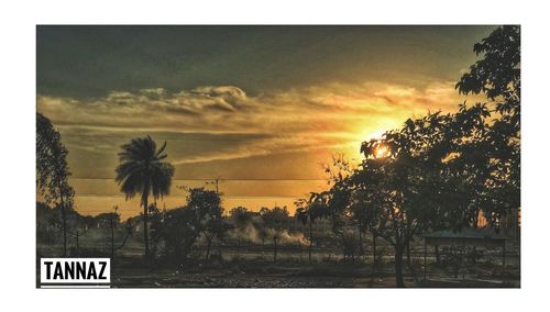 Silhouette palm trees on landscape against sky at sunset