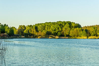 Scenic view of lake against clear sky