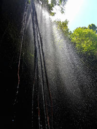 Water splashing in forest against sky