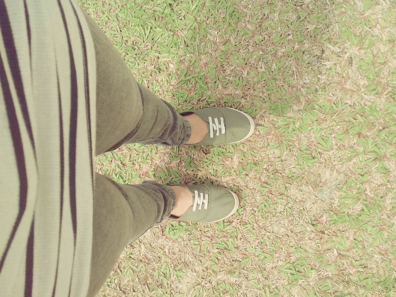 low section, person, shoe, personal perspective, lifestyles, grass, leisure activity, jeans, human foot, field, footwear, relaxation, men, standing, part of, high angle view, grassy