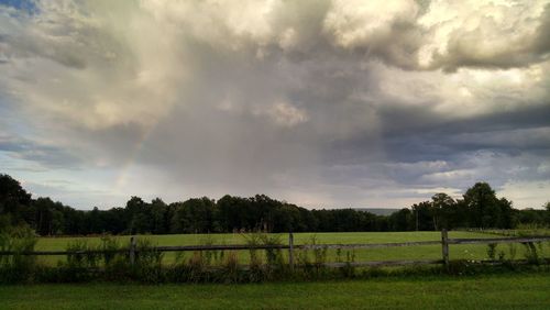 Scenic view of field against sky