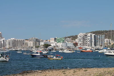 Boats in harbor with buildings in background