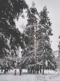 People walking on snow covered land against trees