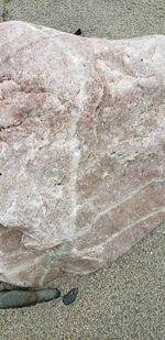 High angle view of rocks on beach